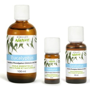 Essential oil Eucalyptus globulus