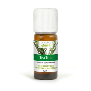 Huile essentielle de Tea tree