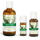 Essential oil of Tea tree