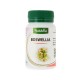 Boswellia - Complément alimentaire NATAVÉA